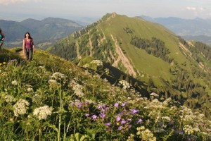 Naturpark Nagelfluhkette/A+D